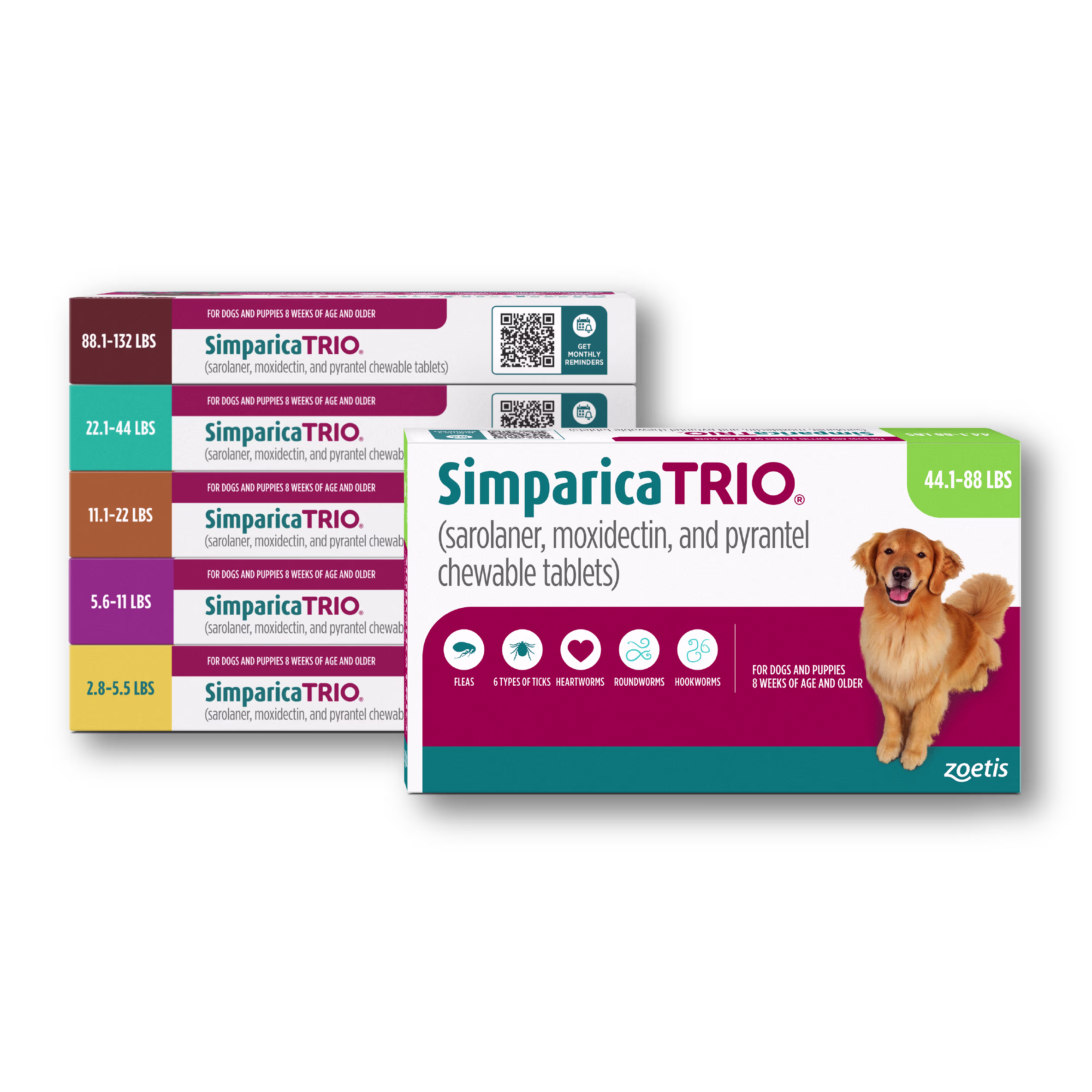 Simparica Trio. Golden retriever sitting with mouth open.