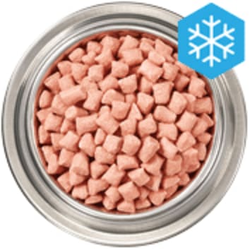 Snowflake icon and a bowl of frozen raw