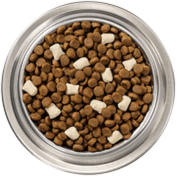 A bowl of kibble plus raw pieces