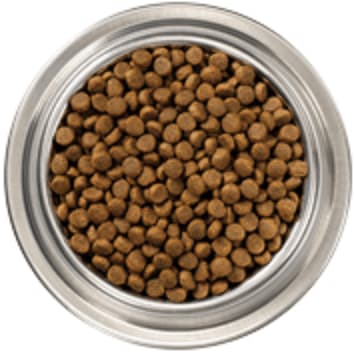 A bowl of raw coated kibble