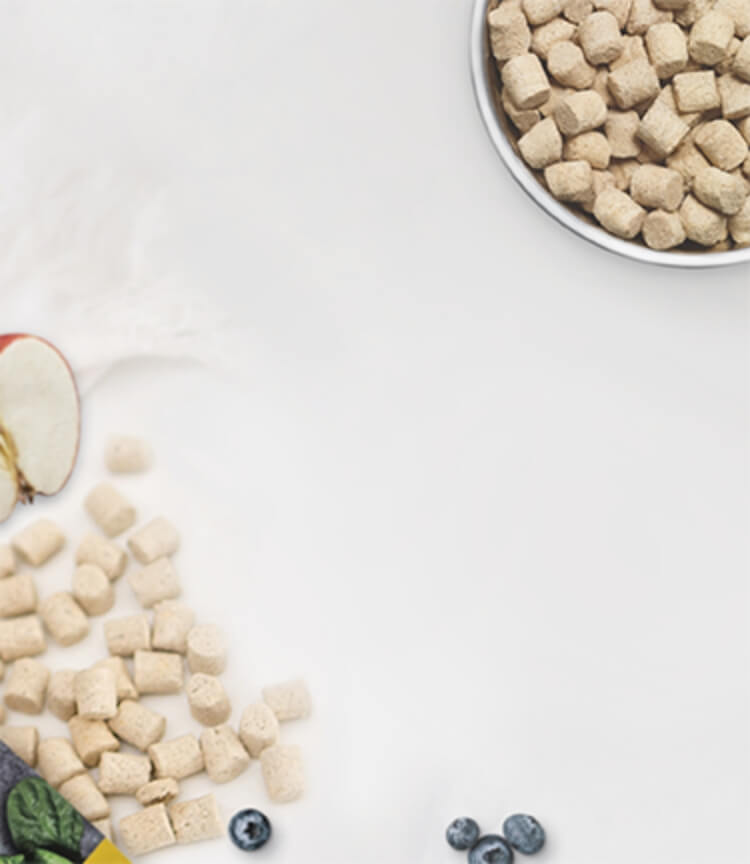 Blueberries, an apple slice and a bowl of freeze-dried raw pet food on a surface.