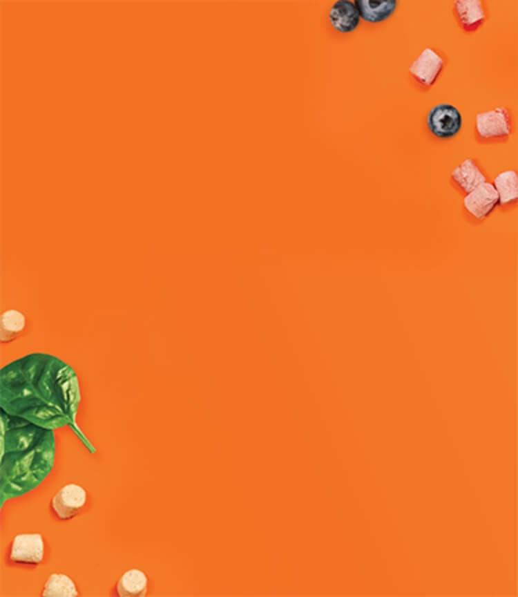 Blueberries, pieces of frozen raw and pieces of freeze-dried raw pet food on a surface.