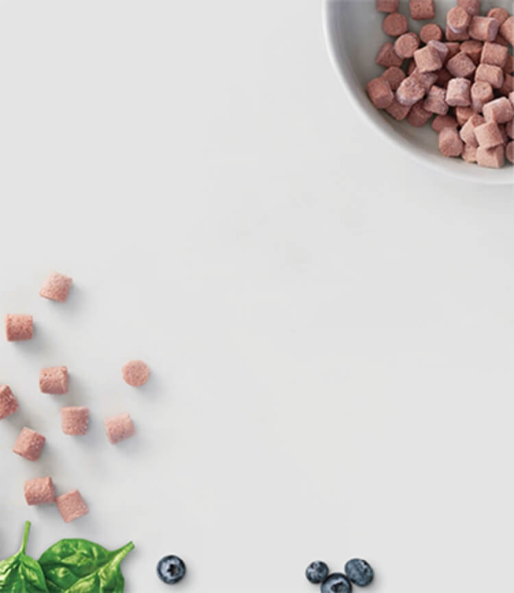 Snowflake icon. Blueberries, pieces of frozen raw, and a bowl of frozen raw pet food on a surface.