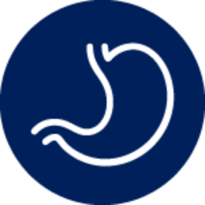 Stomach icon