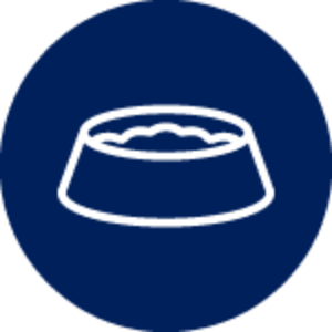 Bowl icon