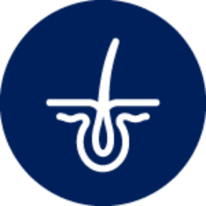 Icon of a hair and root