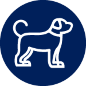 Icon of a mature dog