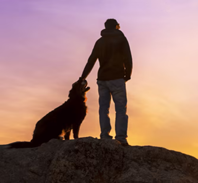 A man and his dog watching the sunset. Pack shots of Orijen food.