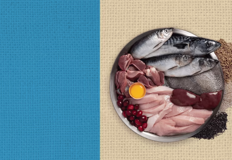 A bowl full of wild caught fish, organs and poultry.