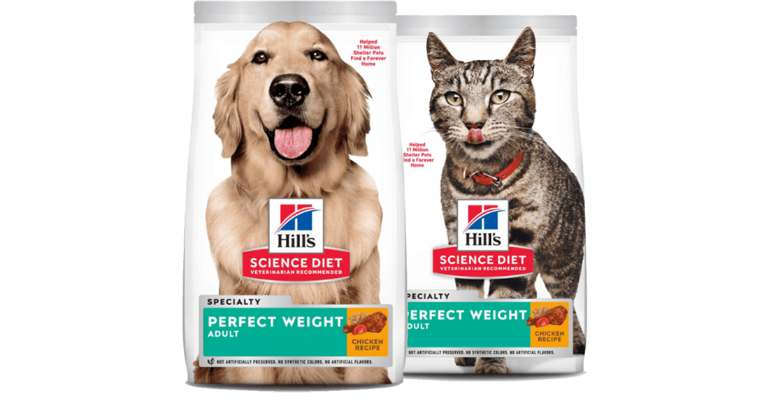 Science diet perfect clearance weight dog food reviews