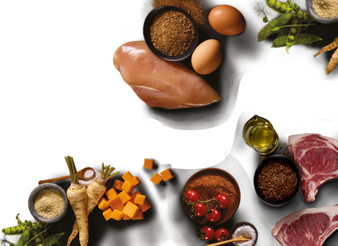 Vetdiet | Petco