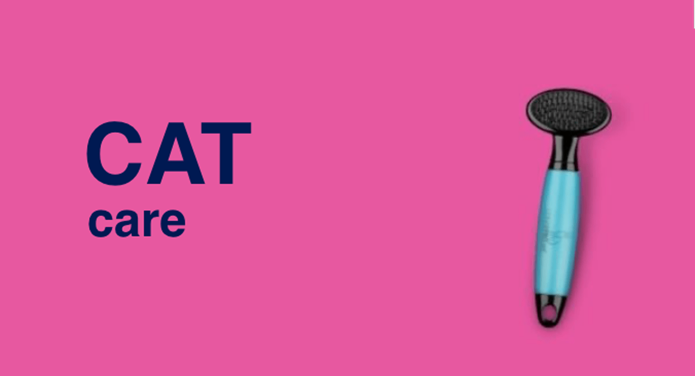 Cat care