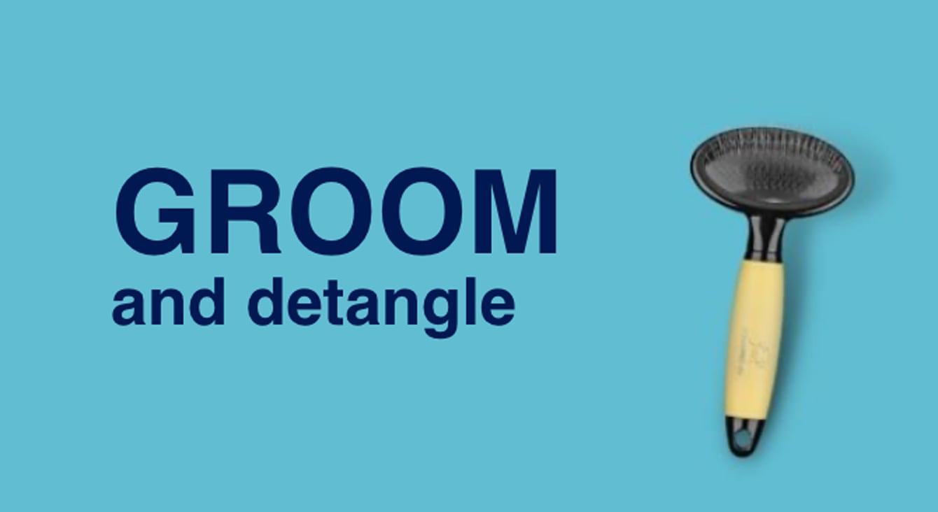 Groom and detangle