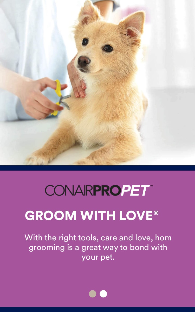 To the left, a cat closes its eyes while being brushed. To the right, a dog receiving a trim with scissors