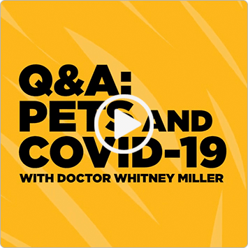 Petco Stores Are Open The Latest On Covid 19
