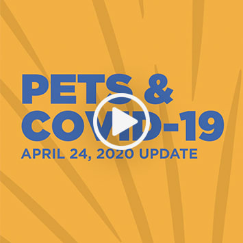 Petco Stores Are Open The Latest On Covid 19