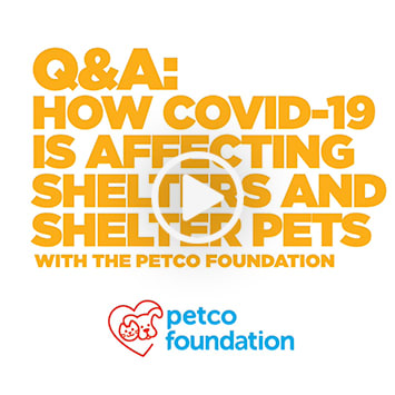 Petco Stores Are Open The Latest On Covid 19
