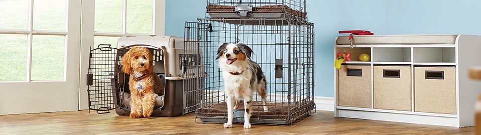 where to buy dog crates near me