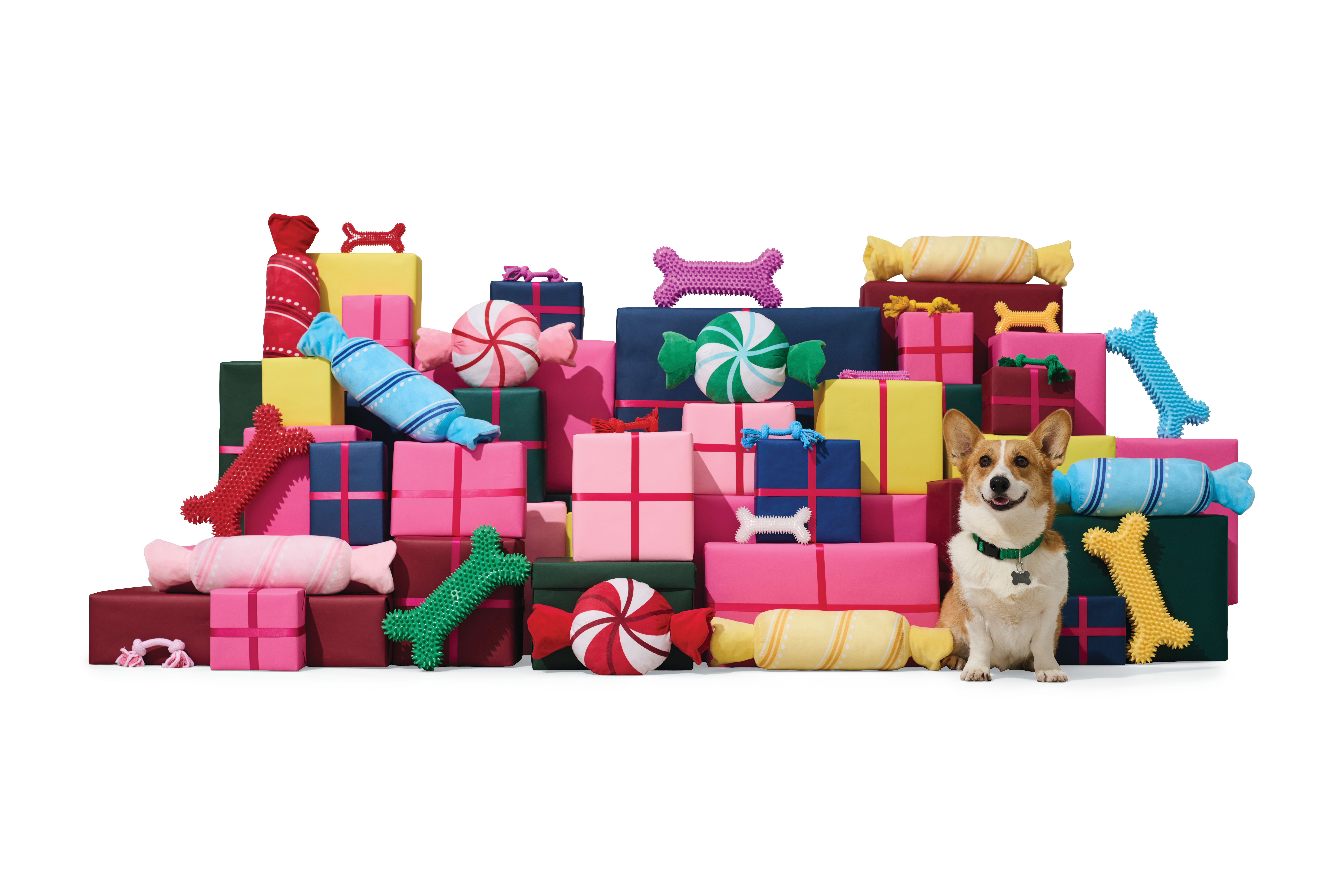 Draper James Lovely Salted Pretzel Dog Toy