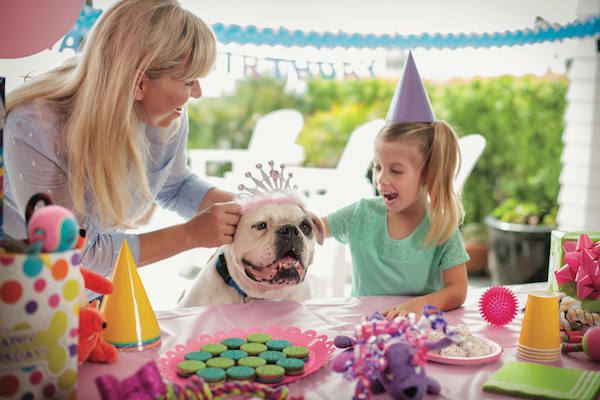 dog birthday pets at home
