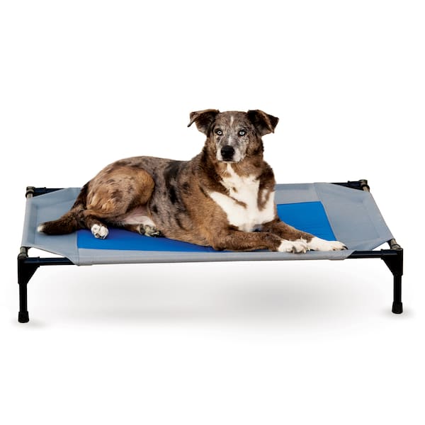 dog cooling bed