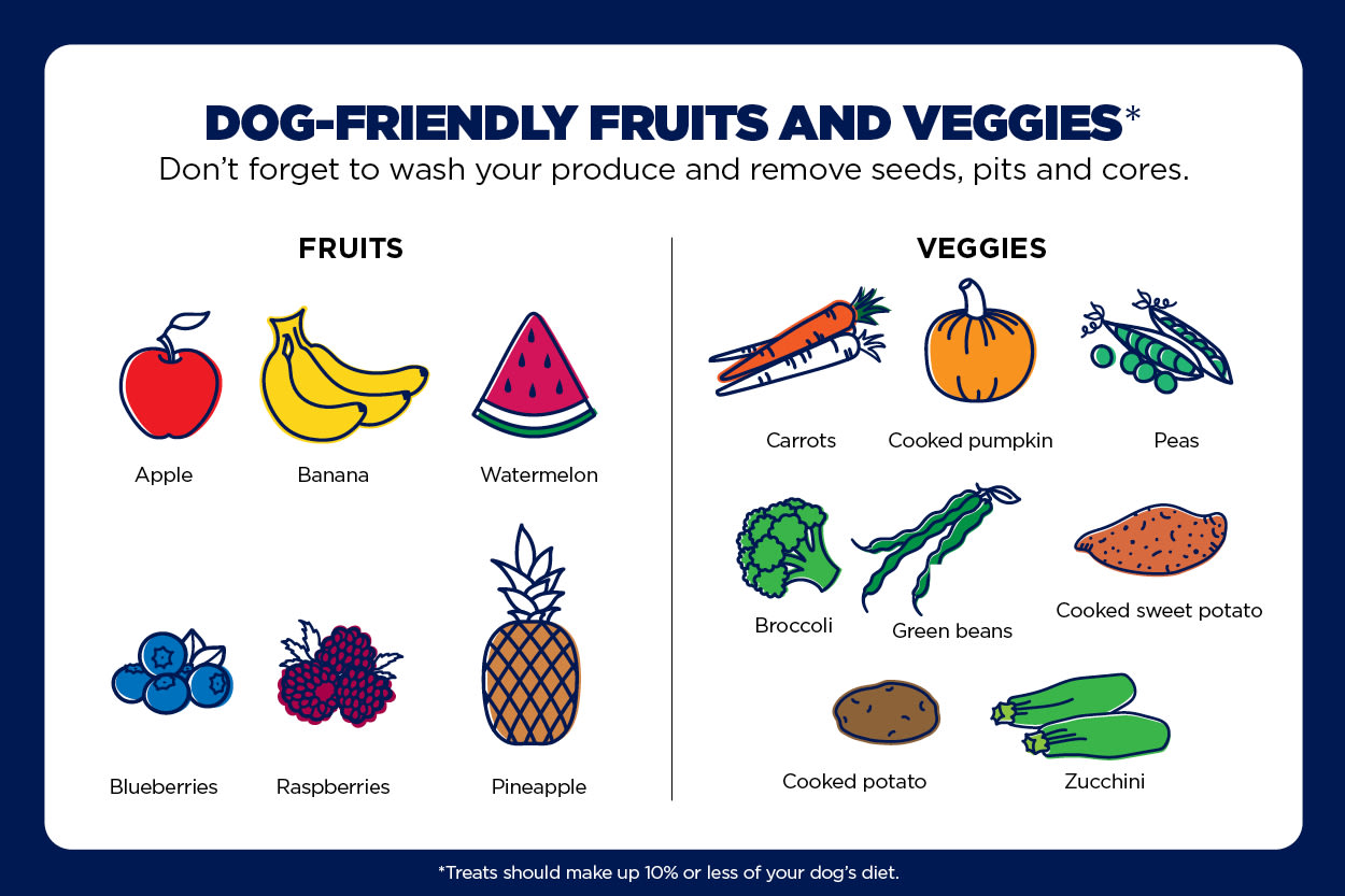 Fruits and vegetables dogs can eat