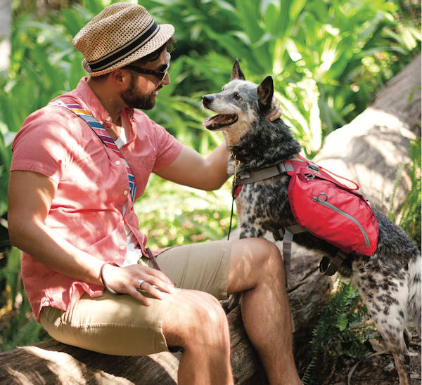 How to Prepare to Take a Dog Hiking Petco