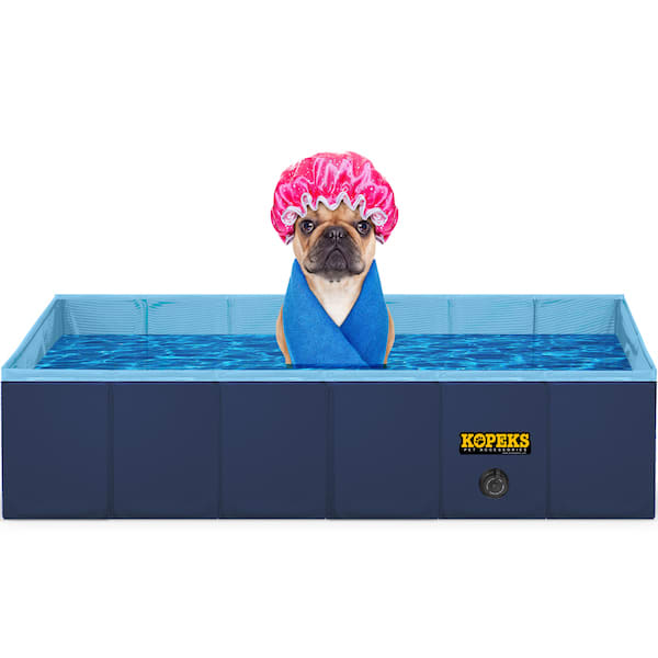 Dog pool clearance accessories