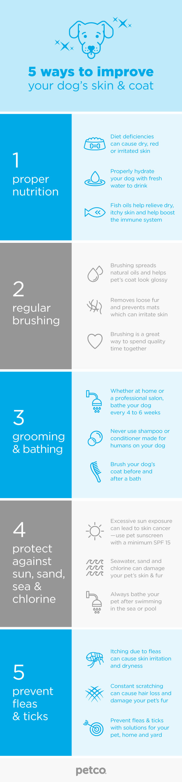 Ways to improve a dog's skin and coat infographic