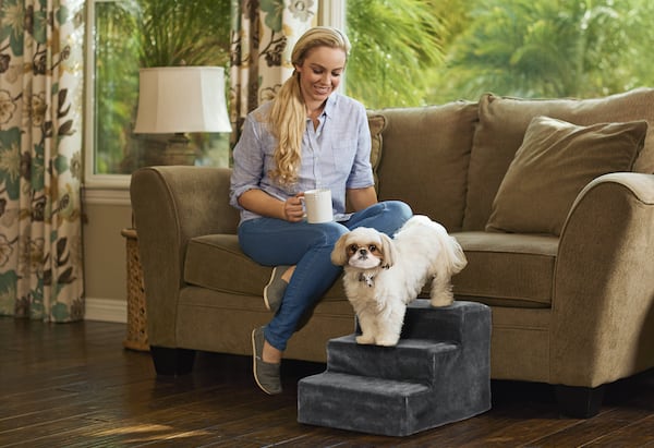 Petco 2024 pet boarding