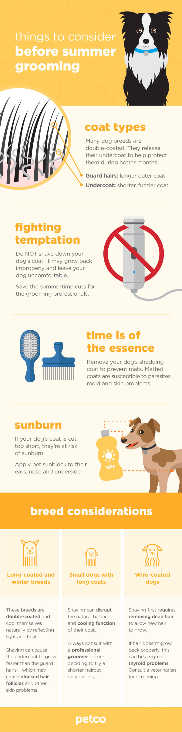 Things To Consider Before Summer Grooming Types Of Coats Breeds Of Dogs