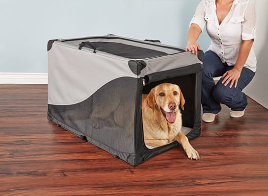 dog carrier for 25 lb dog