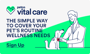 loofah dental dog toy