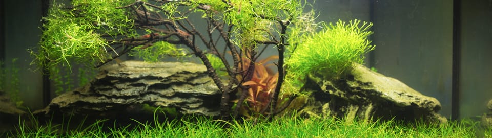 Aquarium Eco-Friendly Artificial Green Water Grass Plant Lawn Fish