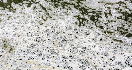 Pond Foam: What Causes Foam on Fish Ponds?