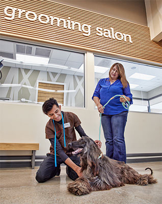 petco pet grooming