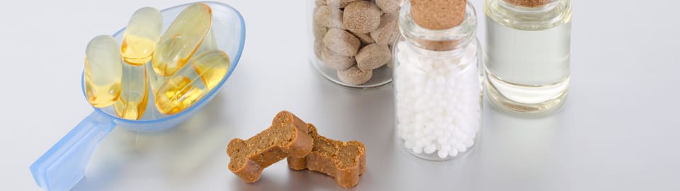 Fish oil 2024 powder for dogs