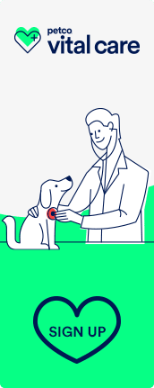 petco dog training classes cost