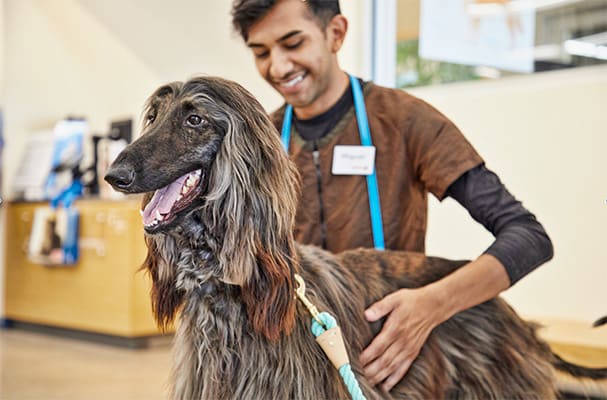 Petco Nail Trimming Services: Dog Nail Trims