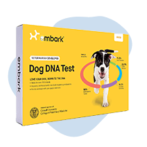 frontline gold petco