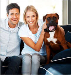 bil jac puppy food petco