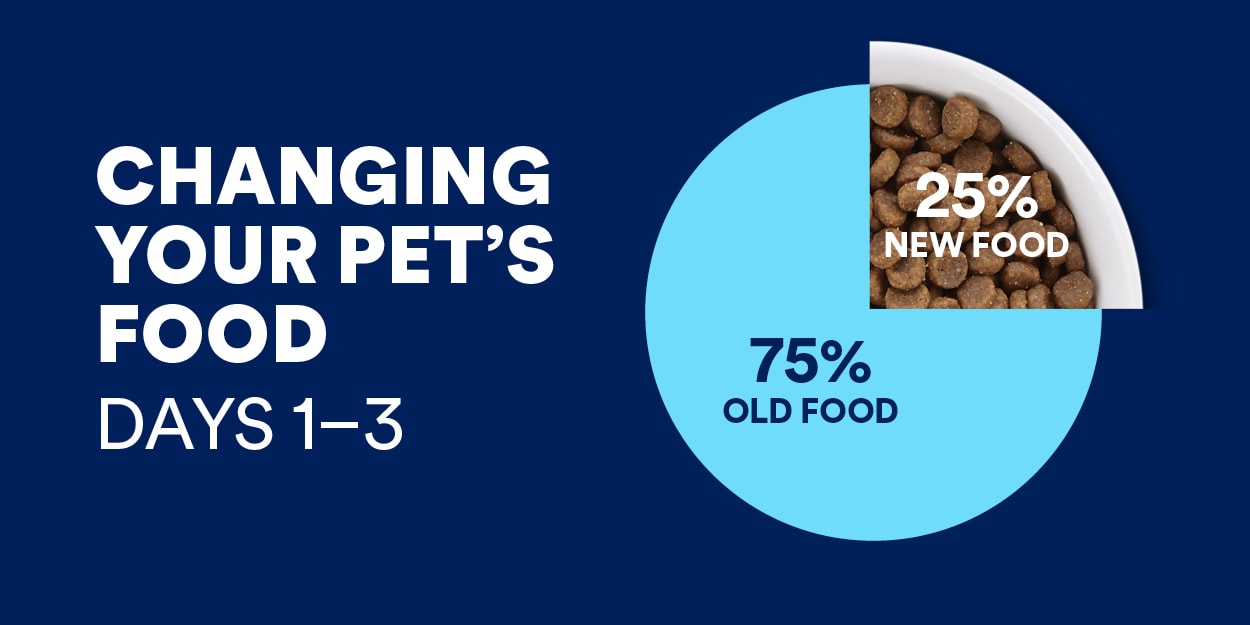 How to Transition Your Dog or Cat to a New Food Petco