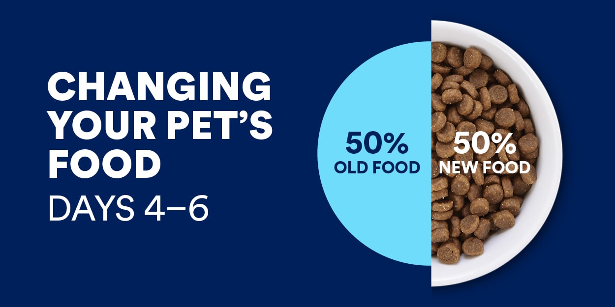 How to Transition Your Dog or Cat to a New Food Petco