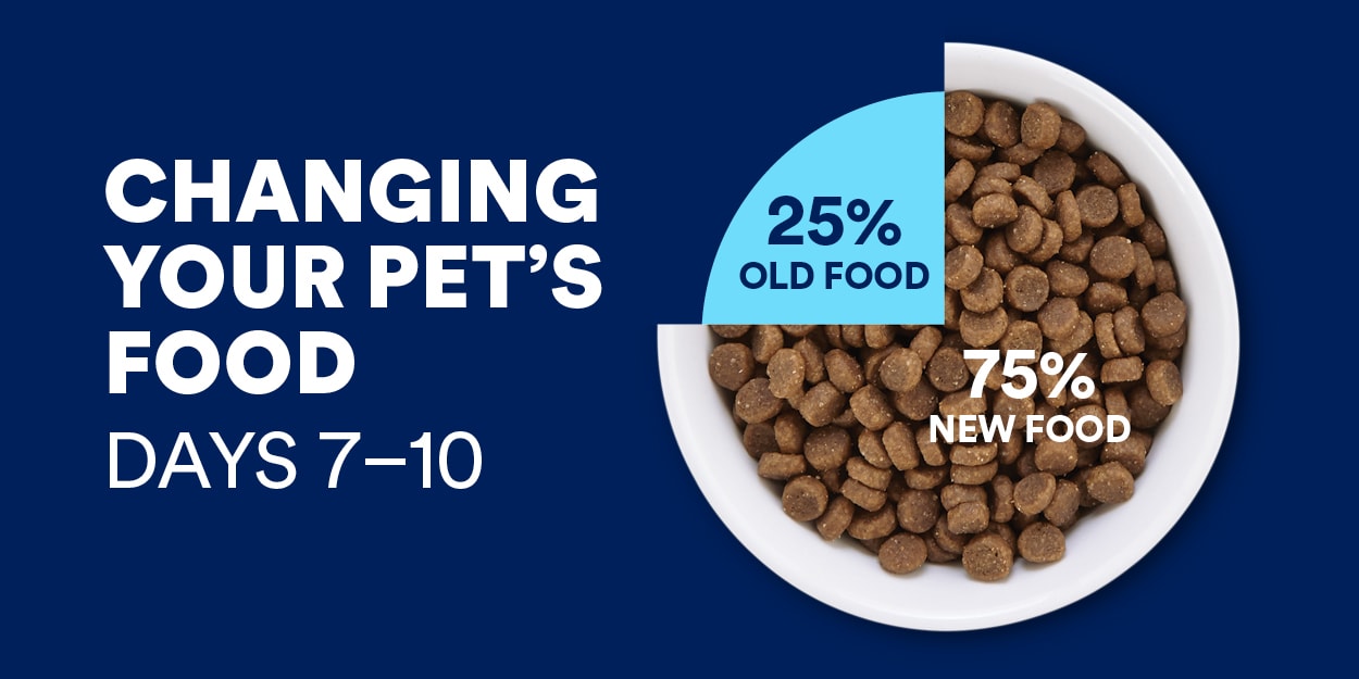 Changing cat food sale