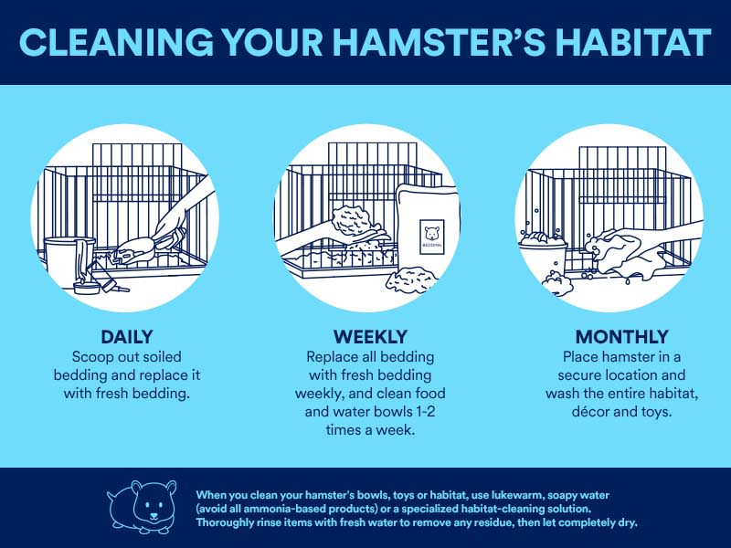 cleaning hamster habitat diagram