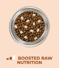 Image of dog food and a bar graph with two filled bars and one empty bar. Boosted raw nutrition.