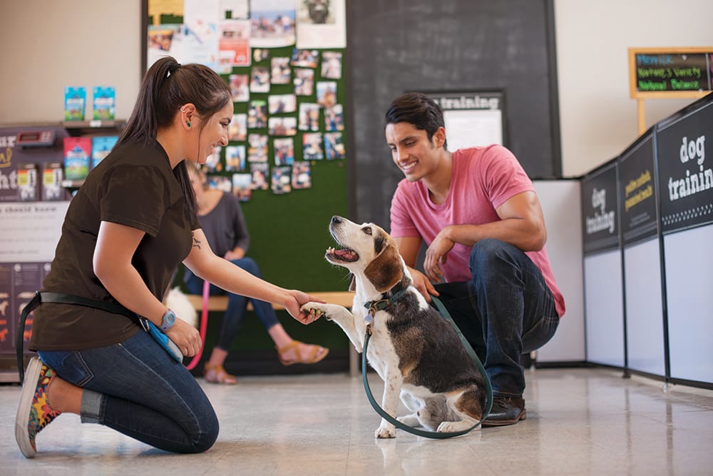 intro to dog obedience hero image