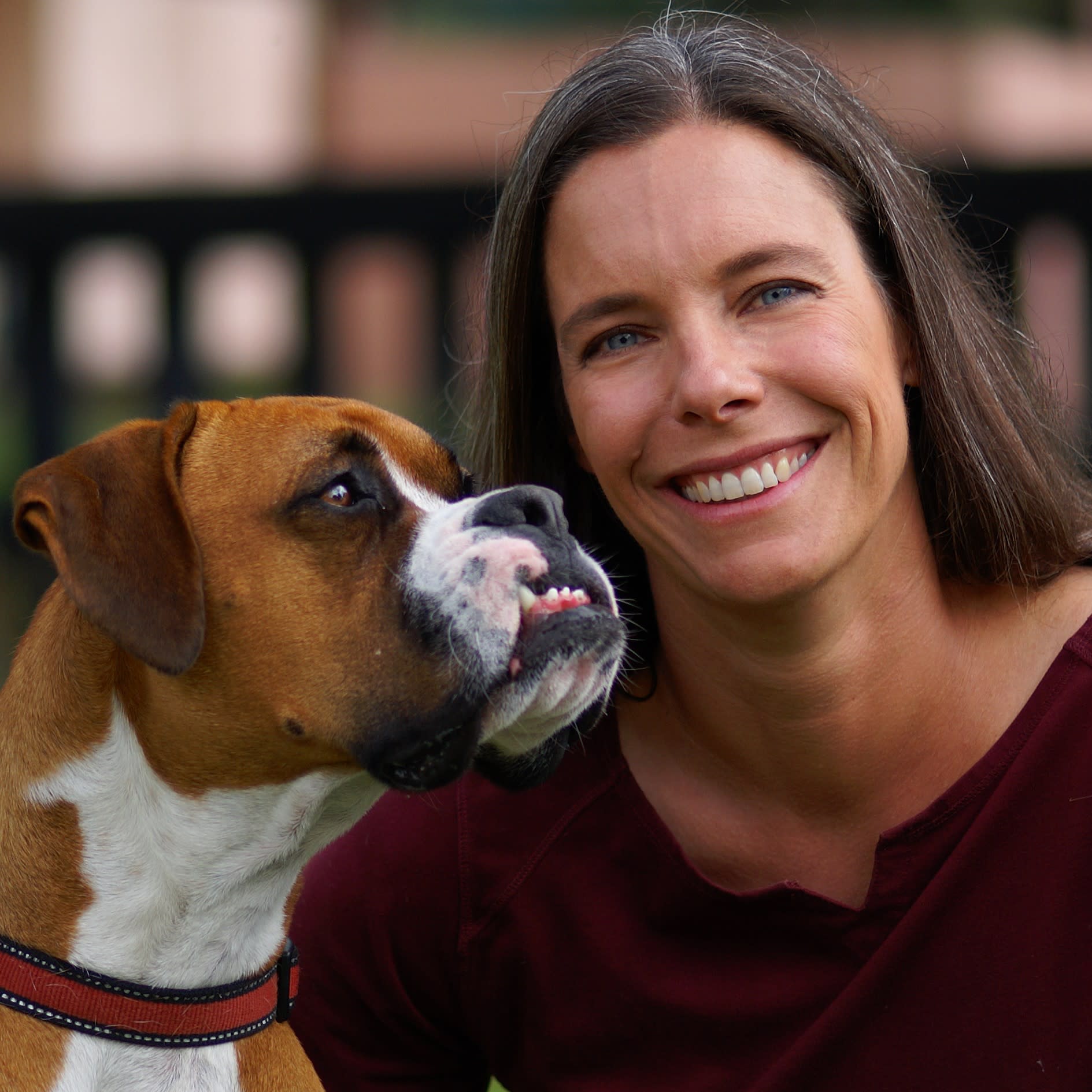 Dog enema clearance petsmart