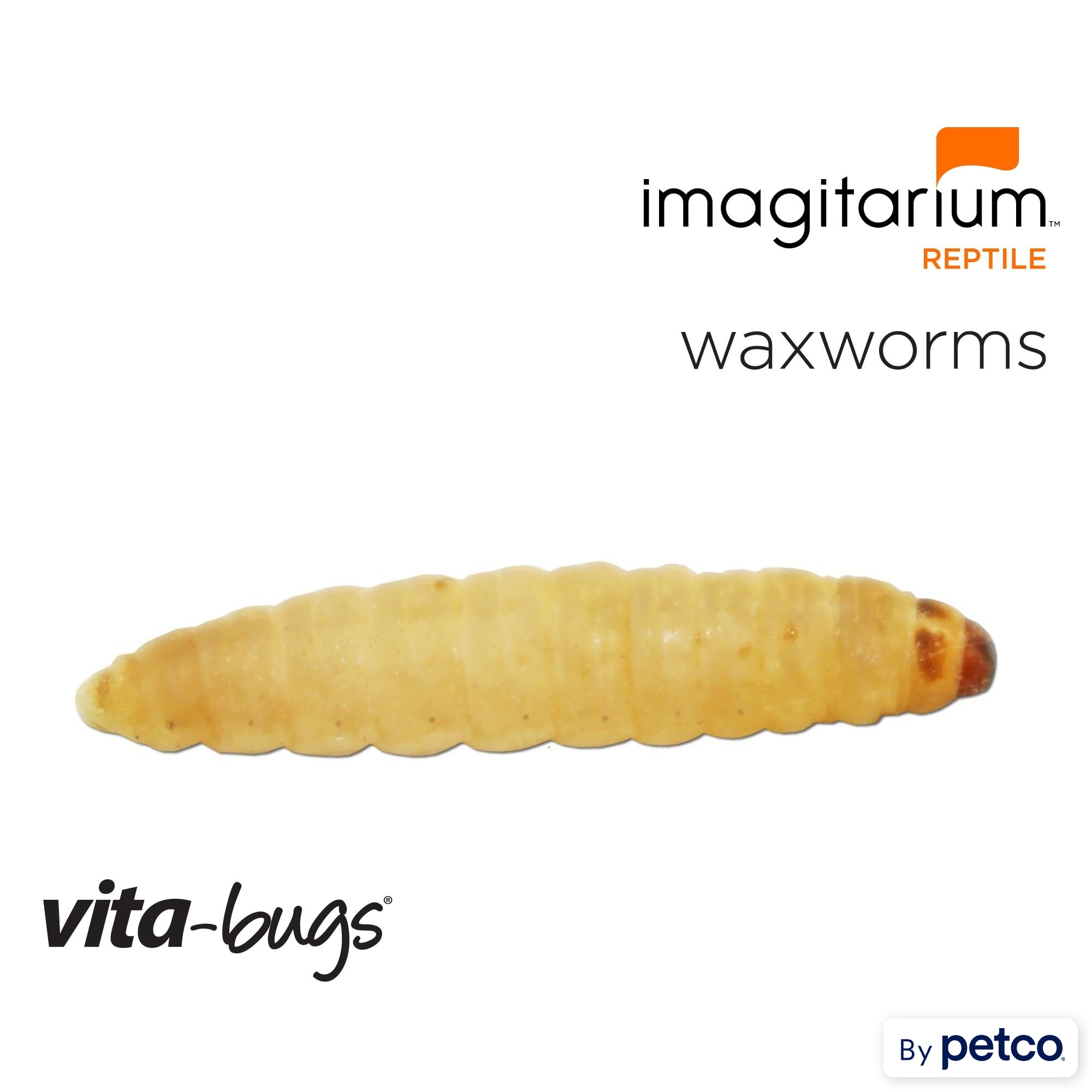 Vita-Bugs Waxworms - 50 Count
