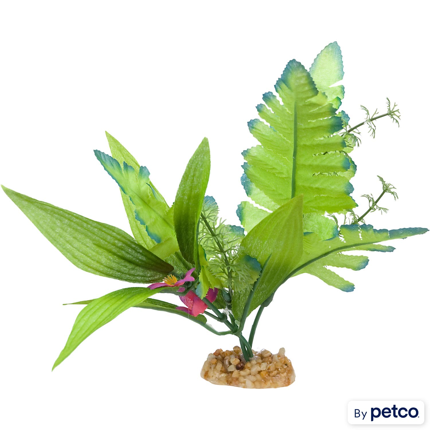Petco aquarium plants cheap